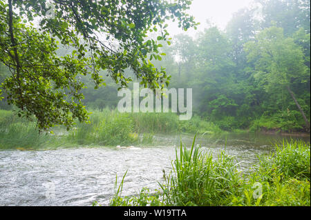 Flache Roaring River, flacher sauberer Fluss im Sommer Stockfoto