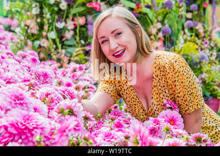 London, Großbritannien. 01. Juli, 2019. Schillernde Dalias - der Hampton Court Garden Festival, 2019. Credit: Guy Bell/Alamy leben Nachrichten Stockfoto