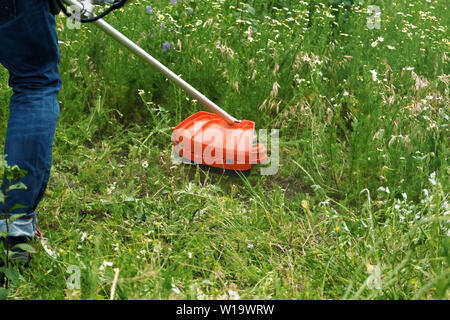 Arbeitnehmer mäht das Gras mit einem Benzin string Trimmer. Stockfoto