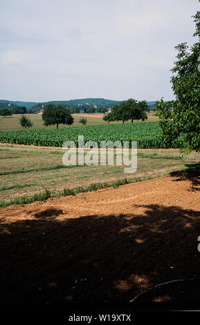 Tabakanbau in der Dordogne, Frankreich Stockfoto