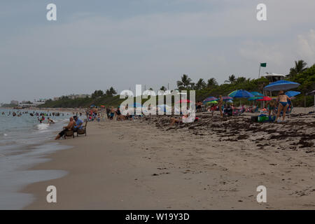 An einem heißen Sommertag am Strand des Atlantischen Ozeans bei Carlin Park in Jupiter, Florida, USA. Stockfoto