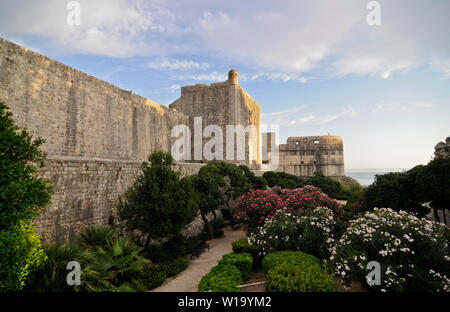 Die Altstadt von Dubrovnik, Kroatien Stockfoto