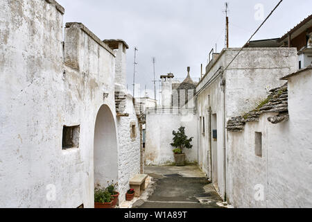 Historische Straße mit Trulli in Alberobello Stadt in Italien. Es gibt Kamine und TV Antennen auf den Dächern, Pflanzen in den Töpfen auf dem Boden. Stockfoto