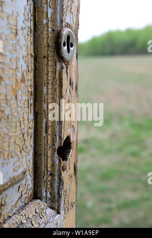 Alte Holztür mit Gecrackten gelbe Farbe und ein Schlüsselloch, eröffnete in der Mitte in das grüne Feld mit ein paar Bäumen im Hintergrund. Stockfoto