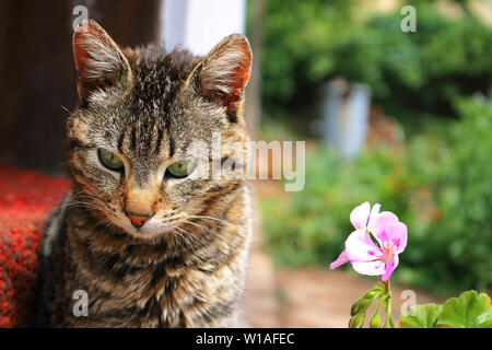 Denken... Stockfoto