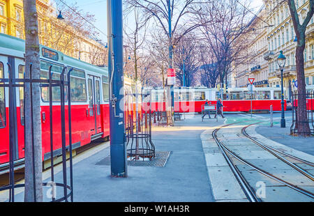 Wien, Österreich - 18. FEBRUAR 2019: Die zahlreichen Linien zu verschiedenen Zielen der Wiener Straßenbahnen auf der Ringstraße, am 18. Februar in Wien. Stockfoto