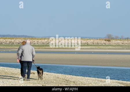 Alter Mann, der seinen Hund entlang der Bucht der Somme Ufer, Le Crotoy, Bucht der Somme, Somme, Hauts-de-France, Frankreich Stockfoto