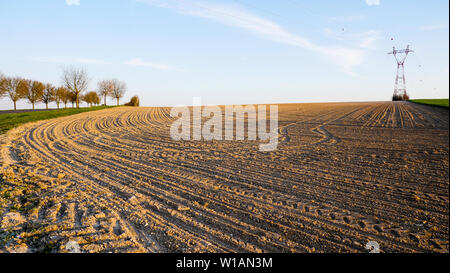 Gepflügte Felder in einem Korn-plain wachsende, Champagner, Frankreich Stockfoto