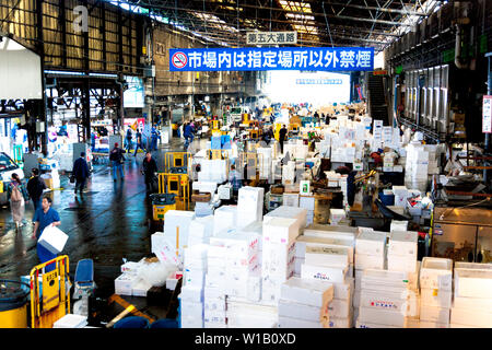 Größte Großhandel - Fischmarkt Tsukiji Fischmarkt (jetzt dauerhaft geschlossen) in Tokio, Japan. Stockfoto