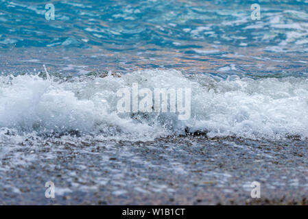 Seashore auf Stein Strand. Nähe zu sehen. Stockfoto