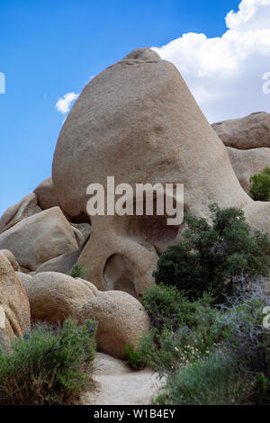 Skull Rock im Joshua Tree National Park, Kalifornien, USA Stockfoto