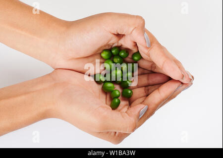 Grüne Kaffeebohnen in der Frau die Hand auf weißem Hintergrund Stockfoto