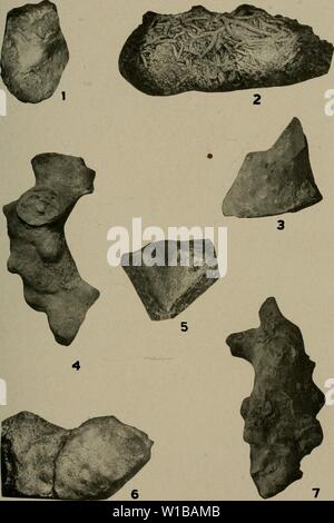 Archiv Bild von Seite 352 des Devonischen von Missouri (1922). Dem Devon von Missouri. devonianofmissou 00 Kleie Jahr: 1922 Missouri Bubeau für Geologie und Bergbau. Bd. XVII, 2. Serie, Platte 10. Stockfoto