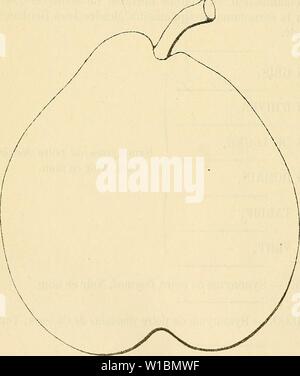 Archiv Bild ab Seite 431 von Wörterbuch de pomologie Contenant. Wörterbuch de pomologie: Contenant l'histoire, la Description, la Abbildung des Früchte Früchte anciens et des modernes les plus gÃnÃralement connus et cultivÃs. dictionnairedepo 002 lero Jahr: 1867 424 MIL [Mailand] borâhiv Poire MAILAND DE BORDEAUX. Â Synonym de poire Voie aux PrÃªtres. Voir ce nom Poire MAILAND D'ÃTÃ. Â Synonym de Bergamote d'ÃtÃ. Voir ce nom. 684. Poire MAILAND D'Hiver. Synonyme. - Poires: 1. Mailand Rond (dom Claude Saint-Etienne, Nouvelle Anweisung connaÃ®tre les Bons Früchte, Gießen 1670, S. 82; et Merlet, l'A Stockfoto