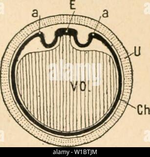 Archiv Bild von Seite 458 Wörterbuch de Physiologie (1895). Wörterbuch de Physiologie. dictionnairedeph 01 arich Jahr: 1895 Stockfoto