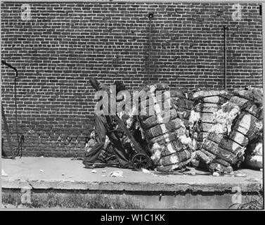 Coosa Valley, Alabama. Warehousing Baumwolle (Talladega); Umfang und Inhalt: Die Bildunterschrift lautet wie folgt: Coosa Valley, Alabama. Warehousing Baumwolle (Talladega). Stockfoto