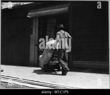 Coosa Valley, Alabama. Warehousing Baumwolle (Talladega); Umfang und Inhalt: Die Bildunterschrift lautet wie folgt: Coosa Valley, Alabama. Warehousing Baumwolle (Talladega). Stockfoto