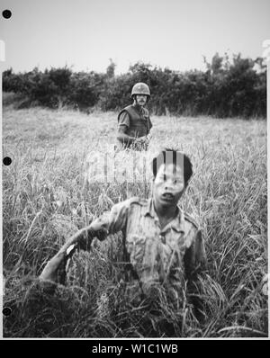 Corporal Atchley (Long Beach, CA), eine Gruppe von Unternehmen B, 1.BATAILLON, 9 Marines, bewacht eine Viet Cong, als er auf dem Weg zur sammelstelle bewegt. Aktion stattgefunden hat während des Betriebs goldenen Vlies. Stockfoto
