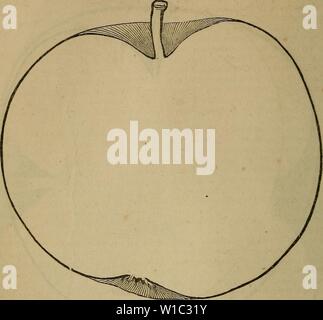 Archiv Bild von Seite 51 ein Wörterbuch der modernen Gartenbau. Ein Wörterbuch der modernen Gartenarbeit. dictionaryofmode 01 John Jahr: 1847 APP 56 APP Abb. 17.- (p.51.) ein, die die Führer sein, und die andere Form der erste oder der unteren Stufe des Lagers Zweige, die zu kleinen Stangen befestigt werden, damit sie an den richtigen Stellen zu halten. In der folgenden Saison die frommen Führer muss auf neun Zentimeter verkürzt werden oder ein Fuß über die beiden waagerechten Ästen, und alle seine Triebe mit Ausnahme der obersten drei, das sind die gleichen wie bisher behandelt werden. Auf diese Weise werden die führenden Stockfoto
