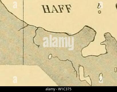 Archiv Bild von Seite 51 der Beteiligung Deutschlands an der. Die Beteiligung Deutschlands an der internationalen Vollständigen: Bericht. diebeteiligungde 306 5Mose Jahr: 1903 Das ODERHAFF Stockfoto