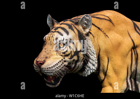 Tiger Statue (mit clipping path) auf schwarzem Hintergrund Stockfoto