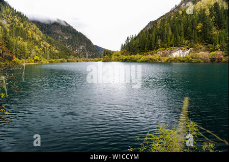 Schöne Spiegel See im Herbst in Jiuzhaigou, Sichuan vor dem verheerenden Erdbeben 2017. Stockfoto