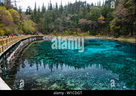 Bunte Pool an Jiuzhaigo National Park vor dem Erdbeben 2017. Stockfoto