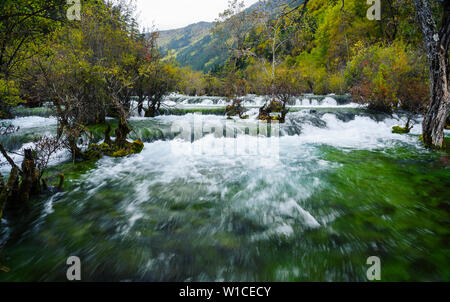 Shuzheng Wasserfälle und See in Jiuzhaigou, Sichuan, China vor dem devestating Erdbeben von 2017. Stockfoto