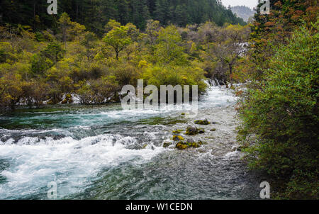 Shuzheng Wasserfälle und See in Jiuzhaigou, Sichuan, China vor dem devestating Erdbeben von 2017. Stockfoto