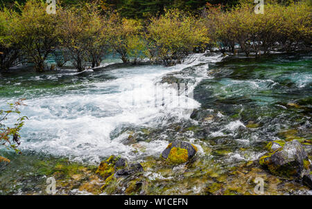 Shuzheng Wasserfälle und See in Jiuzhaigou, Sichuan, China vor dem devestating Erdbeben von 2017. Stockfoto