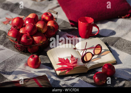 Herbst warme Tage. Indian Summer. Picknick im Garten - Decke und Kissen von Grau, Burgund und Grün Farbe auf dem Hintergrund der Blätter im Herbst. Sele Stockfoto