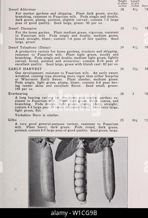 Archiv Bild von Seite 64 aus einer beschreibenden Katalog von Gemüse. Ein beschreibender Katalog der Gemüse. descriptivecatal 1940 asso Jahr: 1940 Züchter und Landwirte 61 Frühe Ernte: Eine neue willst - beständig, süß, canning Vielfalt Stockfoto