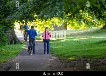 Northampton GROSSBRITANNIEN. 2. Juli 2019. Wetter. Abington Park. Hund Wanderer in der kühlen Luft am Morgen vor der Hitze des Tages, wie es prognostiziert wird später auf heiß. Credit: Keith J Smith./Alamy leben Nachrichten Stockfoto