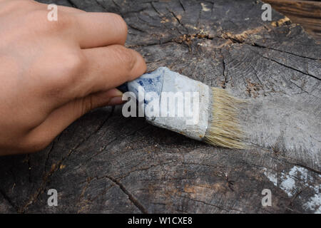 Ein Mann malt mit dem Pinsel mit grauer Farbe. Malerei die hölzerne Oberfläche Stockfoto