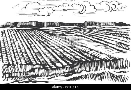 Ländliche Landschaft. Landwirtschaftliche Kulturpflanzen Skizze in Gravur Stil. Hand gezeichnet und zu Vektor Bild umgewandelt. Stock Vektor