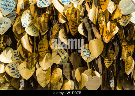 Ihre Wünsche an der Gold Bodhi Schreiben auf eine Metallstange unter dem Baum aufgehängt. In der Nähe der Gold farbigen Blätter des Baumes in dem Buddhistischen Tempel o Stockfoto