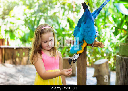 Kind füttert Ara Papagei im tropischen Zoo. Kind spielt mit dem großen Regenwaldvögel. Kinder und Haustiere. Kinder spielen und füttern Wildtiere im Safaripark Stockfoto