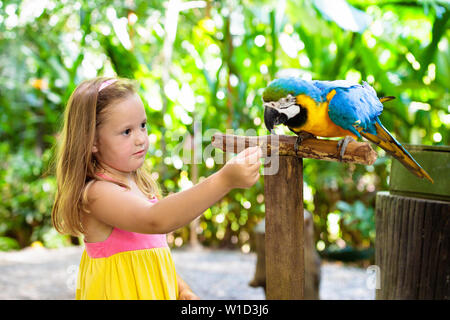 Kind füttert Ara Papagei im tropischen Zoo. Kind spielt mit dem großen Regenwaldvögel. Kinder und Haustiere. Kinder spielen und füttern Wildtiere im Safaripark Stockfoto