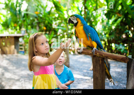 Kind füttert Ara Papagei im tropischen Zoo. Kind spielt mit dem großen Regenwaldvögel. Kinder und Haustiere. Kinder spielen und füttern Wildtiere im Safaripark Stockfoto