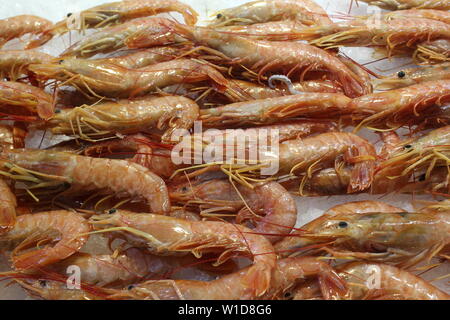 Zentrale kommunale Athen Markt Stockfoto