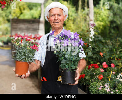 Portrait von älterer Mann seine Lieblingsbeschäftigung von Blumen im Gewächshaus Anbau genießen. Stockfoto