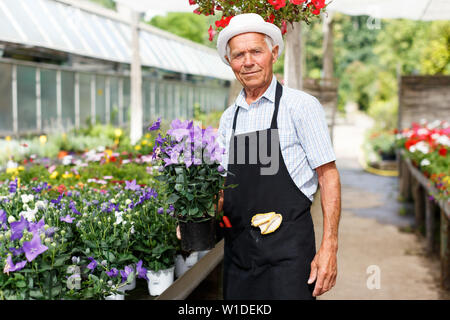 Portrait von älterer Mann seine Lieblingsbeschäftigung von Blumen im Gewächshaus Anbau genießen. Stockfoto