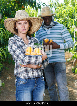 Porträt der glückliche junge Frau, die in Obst Garten mit Haufen von reife Pfirsiche in Händen Stockfoto