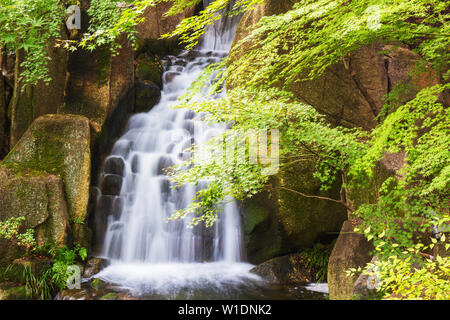 Schönen Wasserfällen über ein Durcheinander von bemoosten Felsen im Wald. Stockfoto