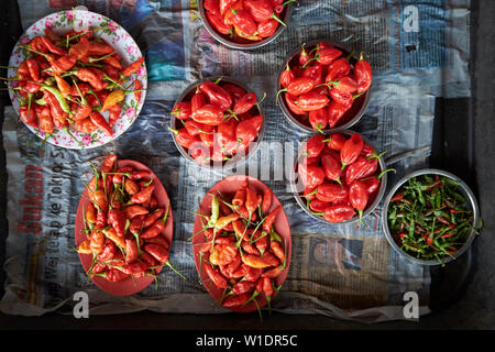 Rote und grüne Paprika für Verkauf bei der tamu Muhibbah Central Food Market in Miri, Borneo, Malaysia. Stockfoto