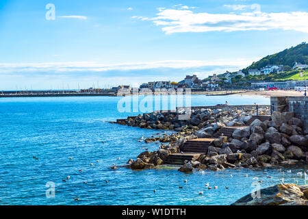 Eine Szene bei Lime Regis in Dorset, Großbritannien. Stockfoto