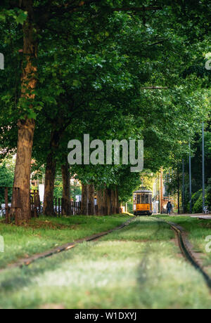 Alte rote Straßenbahn geht durch grünen Tunnel im dichten Wald in Mailand, Italien Stockfoto