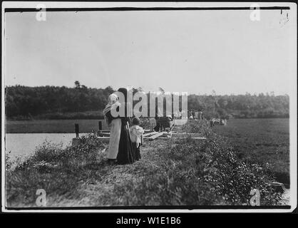 Zur Arbeit zu gehen. Der Manager sagte, wir haben 150 Arbeiter neben der Kinder. Falmouth, Massachusetts Stockfoto