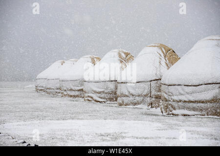 Jurte unter dem Schnee in der Mitte von einem schneebedeckten Feld. Reisen Kirgisistan. Stockfoto