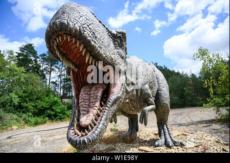 Rehburg Loccum, Deutschland. 02 Juli, 2019. Ein Modell eines Tyrannosaurus rex räuberischen Dinosaurier können im Dinopark Münchehagen gefunden werden. Unter dem Titel der Ausstellung "Big 5", Dinopark präsentiert fünf spektakuläre räuberischen Dinosaurier Funde aus Deutschland, Portugal und England. Credit: Christophe Kirschtorte/dpa/Alamy leben Nachrichten Stockfoto